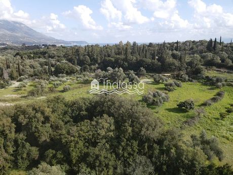 Οικόπεδο 7.740 τ.μ. για πώληση