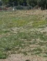 Land plot 967 sqm for sale