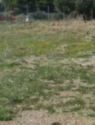 Land plot 967 sqm for sale, Rest Of Attica, Kalivia Thorikou