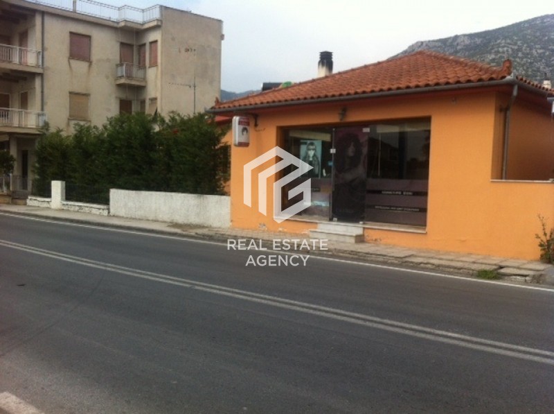 Κτίριο 175 τ.μ. προς πώληση, Μαγνησία, Αγριά