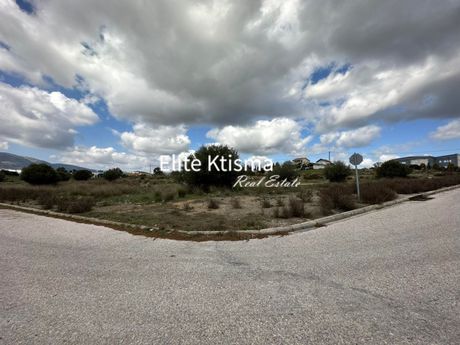Land plot 2.000sqm for rent-Keratea » Center