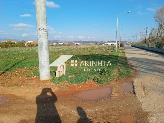 Αγροτεμάχια 12.250 τ.μ. για πώληση, Εβρος, Αλεξανδρούπολη