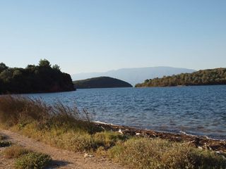 Οικόπεδο 5.600 τ.μ. για πώληση, Μαγνησία, Σηπιάδα-thumb-1
