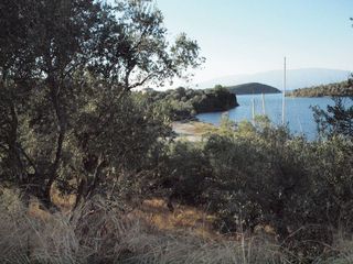 Οικόπεδο 5.600 τ.μ. για πώληση, Μαγνησία, Σηπιάδα-thumb-7