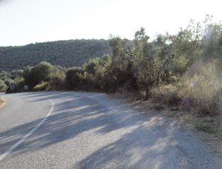 Οικόπεδο 5.600 τ.μ. για πώληση, Μαγνησία, Σηπιάδα-thumb-9