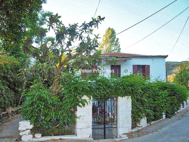 Μονοκατοικία 290.000 τ.μ. πρός πώληση, Μαγνησία, Μηλιές
