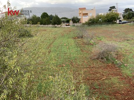 Land plot 1.372,89sqm for sale-Akrotiri