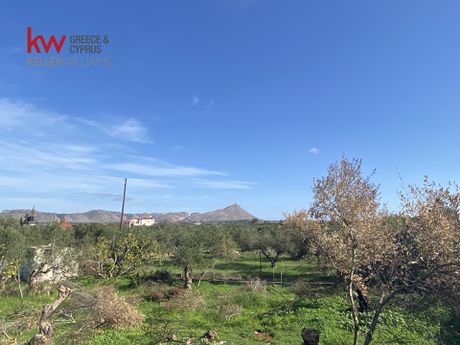 Land plot 650sqm for sale-Akrotiri