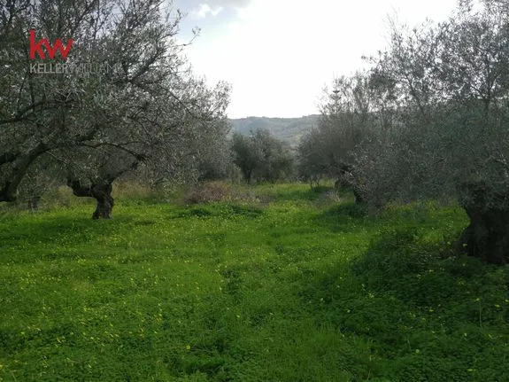 Land plot 1.062,27 sqm for sale, Chania Prefecture, Voukolies