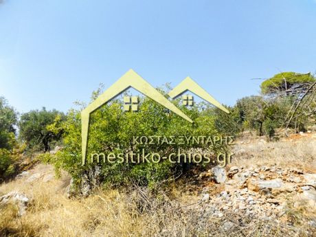 Οικόπεδο 13.894τ.μ. για πώληση-Χίος » Καμποχώρια