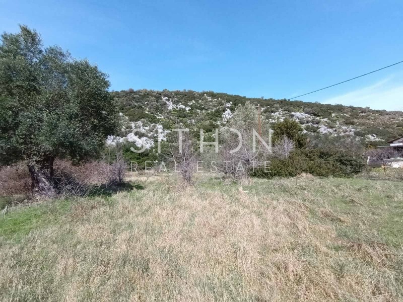 Αγροτεμάχια 1.362 τ.μ. προς πώληση, Κουφός Τορώνης