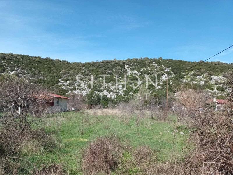 Αγροτεμάχια 1.362 τ.μ. προς πώληση, Κουφός Τορώνης
