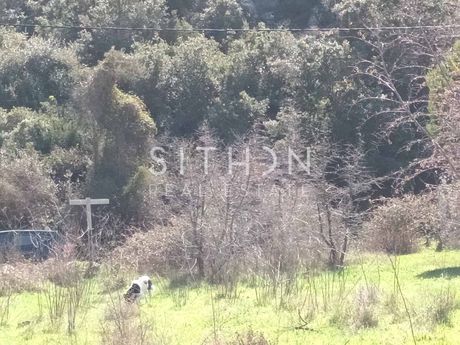 Αγροτεμάχια 1.362 τ.μ. προς πώληση