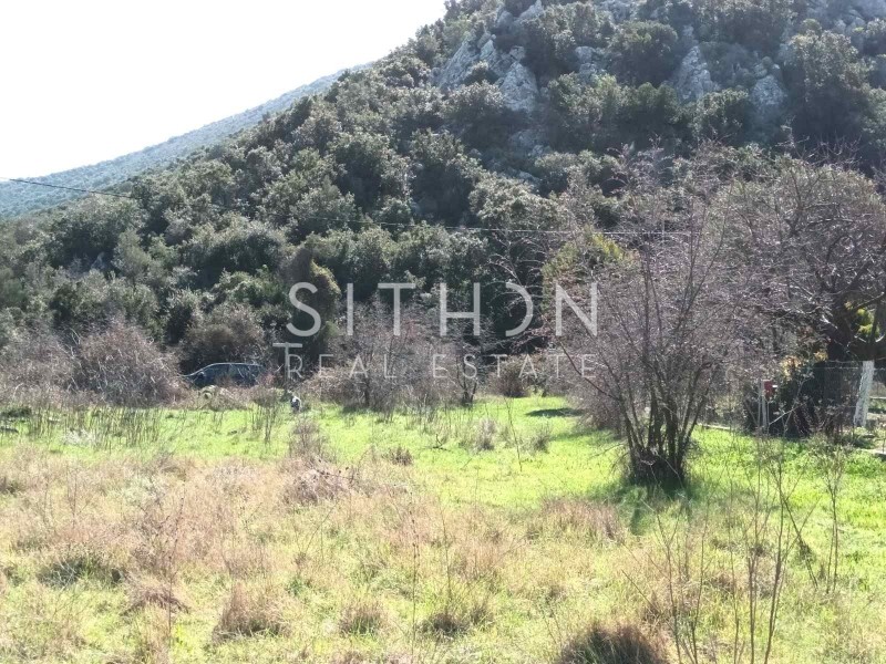 Αγροτεμάχια 1.362 τ.μ. προς πώληση, Κουφός Τορώνης