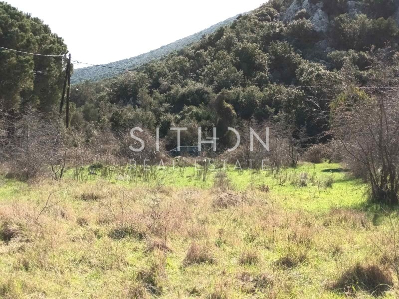 Αγροτεμάχια 1.362 τ.μ. προς πώληση, Κουφός Τορώνης