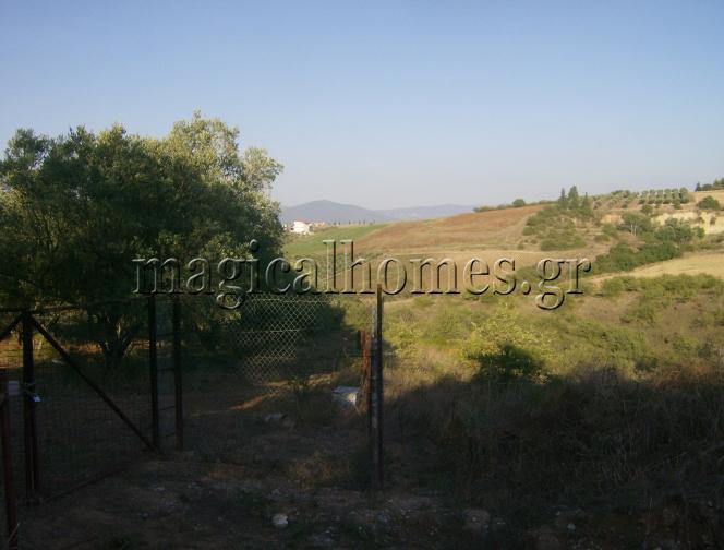 Αγροτεμάχια 7.467 τ.μ. προς πώληση, Θεσσαλονίκη - Περιφ/Κοί Δήμοι, Θερμαϊκός