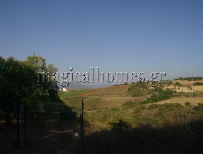 Αγροτεμάχια 7.467 τ.μ. προς πώληση, Θεσσαλονίκη - Περιφ/Κοί Δήμοι, Θερμαϊκός