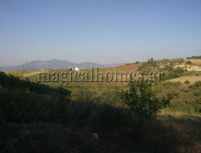 Αγροτεμάχια 7.467 τ.μ. προς πώληση, Θεσσαλονίκη - Περιφ/Κοί Δήμοι, Θερμαϊκός