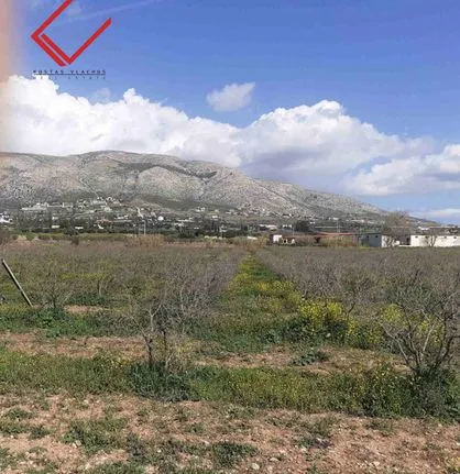 Land plot 981 sqm for sale, Rest Of Attica, Kalivia Thorikou