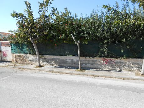 Land plot 1.000sqm for sale-Kalivia Thorikou » Lagonisi