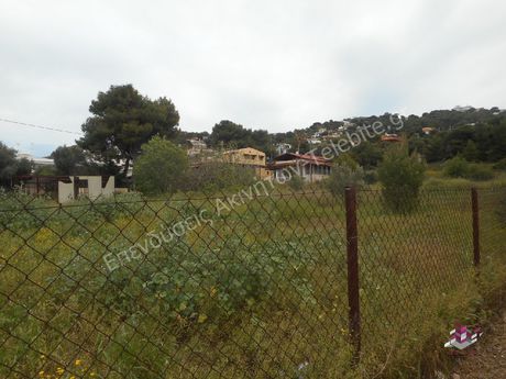 Οικόπεδο 7.000τ.μ. για πώληση-Καλύβια θορικού » Λαγονήσι