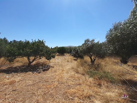 Οικόπεδο 1.100τ.μ. για πώληση-Καλύβια θορικού » Λαγονήσι