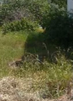 Οικόπεδο 512τ.μ. για πώληση-Αργυρούπολη » Κέντρο