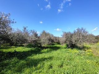 Μονοκατοικία 200 τ.μ. πρός πώληση, Ν. Ρεθύμνου, Γεροπόταμος-thumb-6