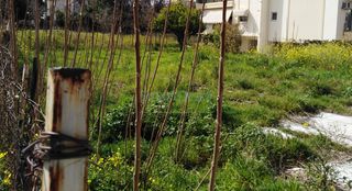 Οικόπεδο 330 τ.μ. προς πώληση, Αγυιά-thumb-3