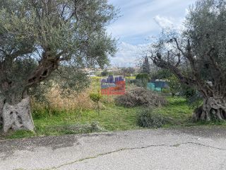 Οικόπεδο 953 τ.μ. για πώληση