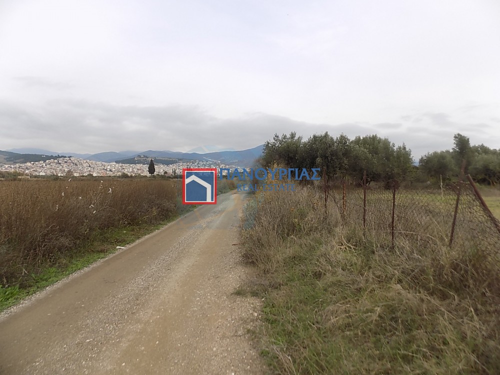 Αγροτεμάχια 5.457 τ.μ. προς πώληση, Κόμμα Λαμίας