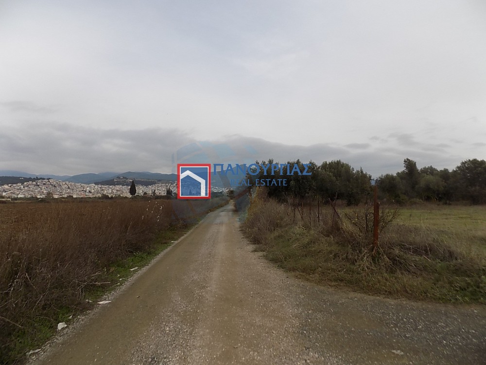 Αγροτεμάχια 5.457 τ.μ. προς πώληση, Κόμμα Λαμίας