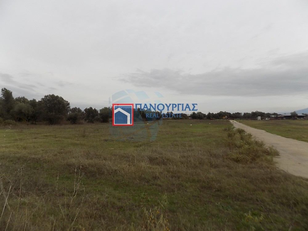 Αγροτεμάχια 5.457 τ.μ. προς πώληση, Κόμμα Λαμίας