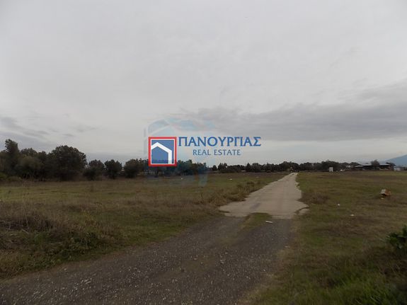 Αγροτεμάχια 5.457 τ.μ. προς πώληση