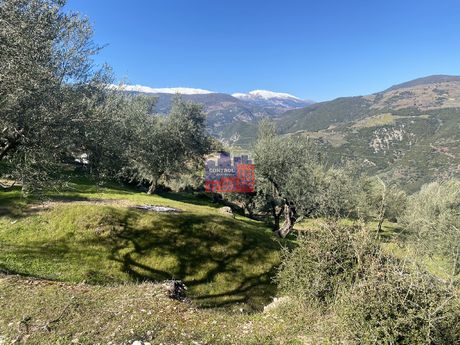 Αγροτεμάχια 5.500 τ.μ. για πώληση