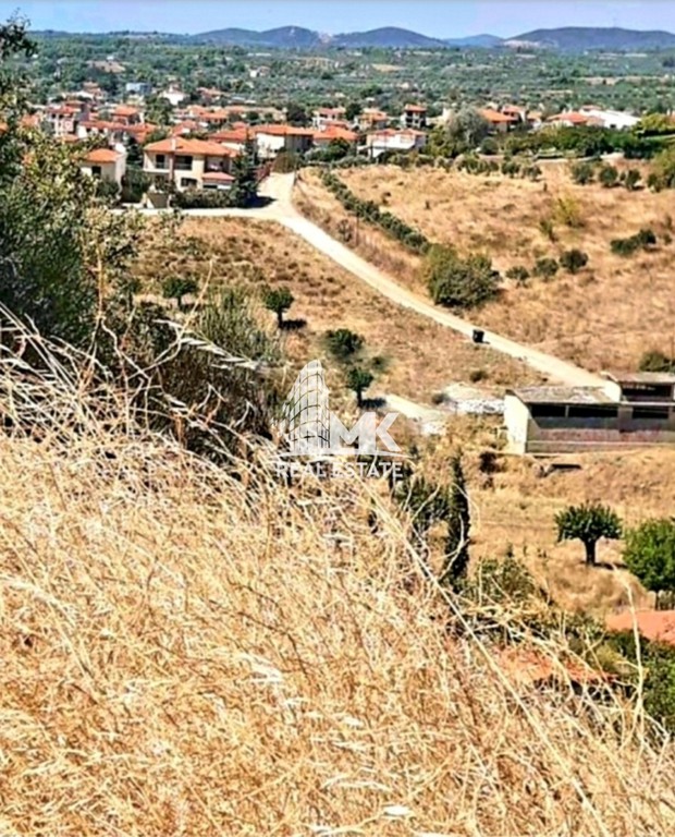 Αγροτεμάχια 2.233 τ.μ. προς πώληση, Νικήτη