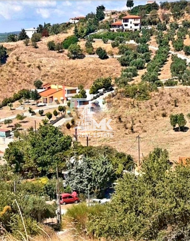 Αγροτεμάχια 2.233 τ.μ. προς πώληση, Νικήτη