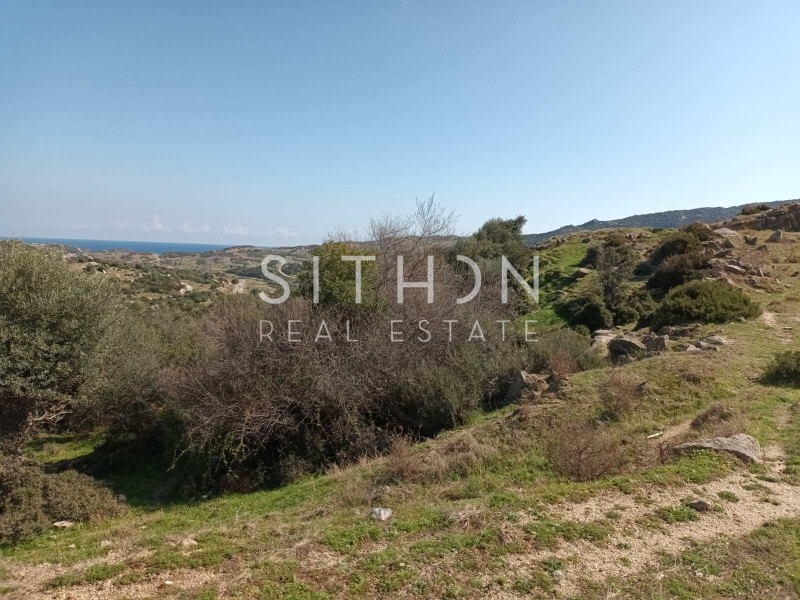 Οικόπεδο 499 τ.μ. προς πώληση, Σκάλα Συκέας