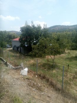 Αγροτεμάχια 3.200 τ.μ. για πώληση