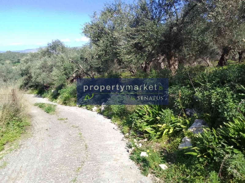 Οικόπεδο 1.780 τ.μ. πρός πώληση, Ν. Ρεθύμνου, Λάππα