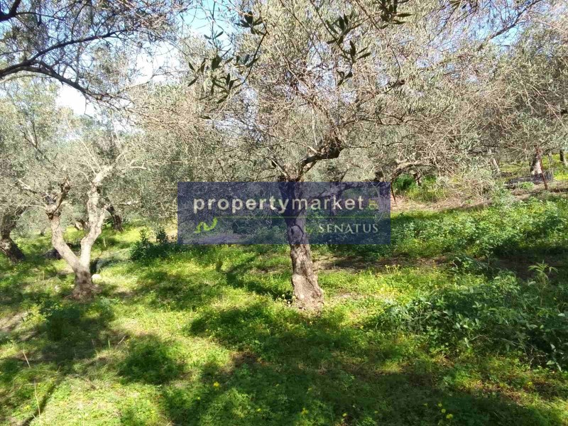 Οικόπεδο 1.780 τ.μ. πρός πώληση, Ν. Ρεθύμνου, Λάππα