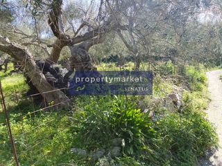 Οικόπεδο 1.780 τ.μ. προς πώληση, Επισκοπή Λάππας-thumb-9