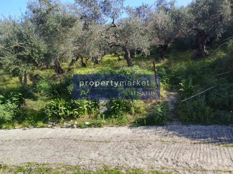 Οικόπεδο 1.780 τ.μ. πρός πώληση, Ν. Ρεθύμνου, Λάππα