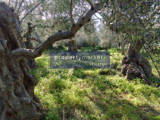 Οικόπεδο 1.780 τ.μ. προς πώληση, Επισκοπή Λάππας-thumb-5