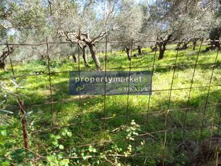 Οικόπεδο 1.780 τ.μ. προς πώληση, Επισκοπή Λάππας-thumb-2