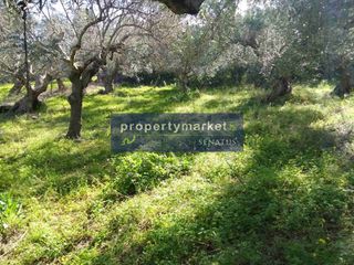 Οικόπεδο 1.780 τ.μ. προς πώληση, Επισκοπή Λάππας-thumb-7