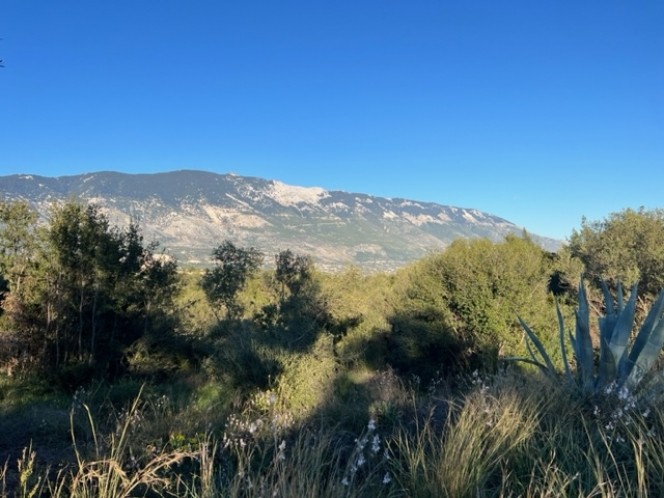 Οικόπεδο 1.570 τ.μ. πρός πώληση, Ν. Κεφαλονιάς, Κεφαλονιά