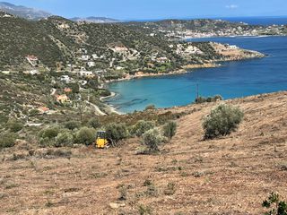 Οικόπεδο 20.500 τ.μ. για πώληση, Εύβοια, Δύστος-thumb-1