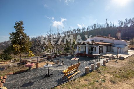Detached home 200sqm for sale-Artemisio » Agriovotano