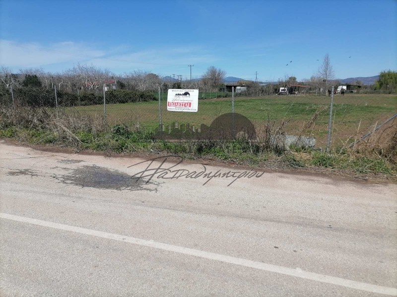 Αγροτεμάχια 4.250 τ.μ. πρός πώληση, Μαγνησία, Αλμυρός